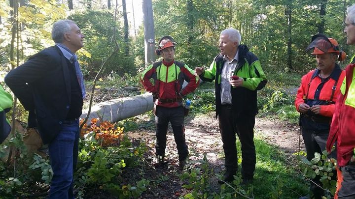 Thueringenforst - Possenwald 01 Thueringenforst - Possenwald 01